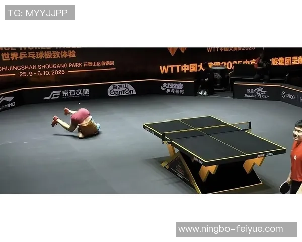 乒乓球纪实：记录杭州乒乓球队的逆袭之旅