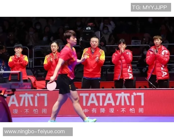 世界杯预选赛特别报道：武汉乒乓球队的成长故事